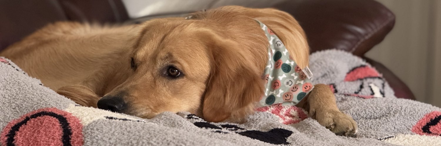 Marguerite Lowak banner