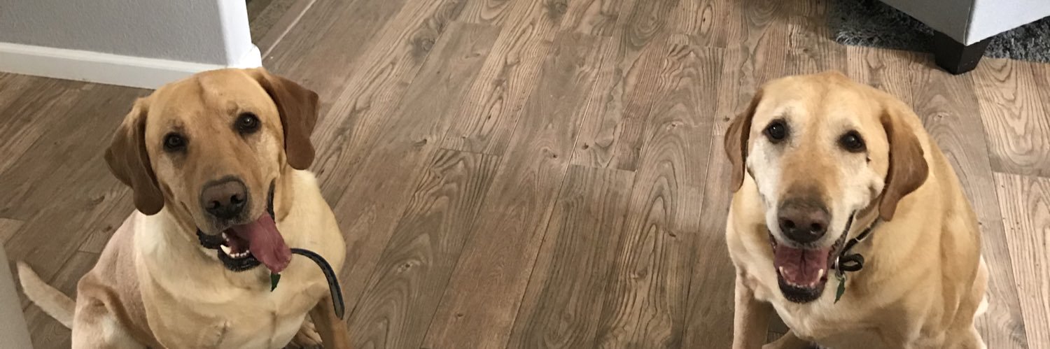 Munchkin_6's profile banner image