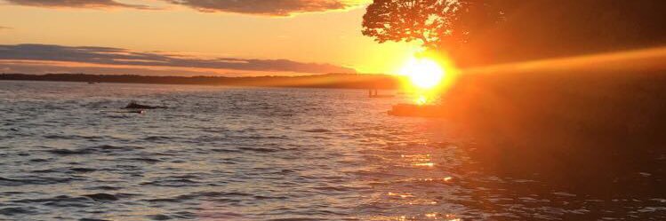 emccartney17's profile banner image