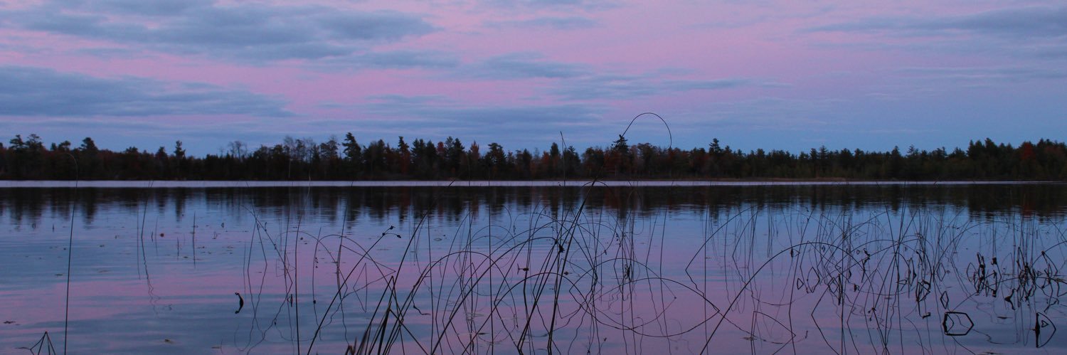 BlustLynette's profile banner image