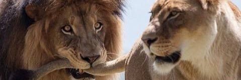 dbn_boy1da's profile banner image