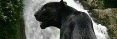 JOHNWHITELY1's profile banner image