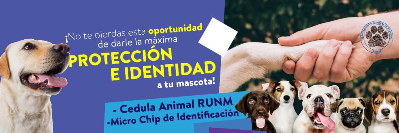 RUNM_OFICIAL's profile banner image