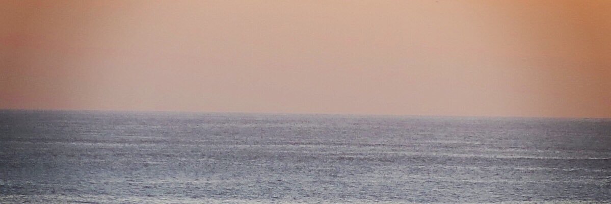 florazet's profile banner image