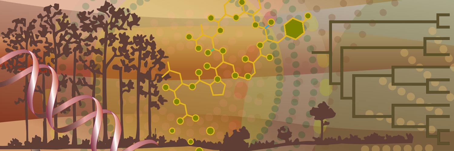 BioSci Dept Advising banner