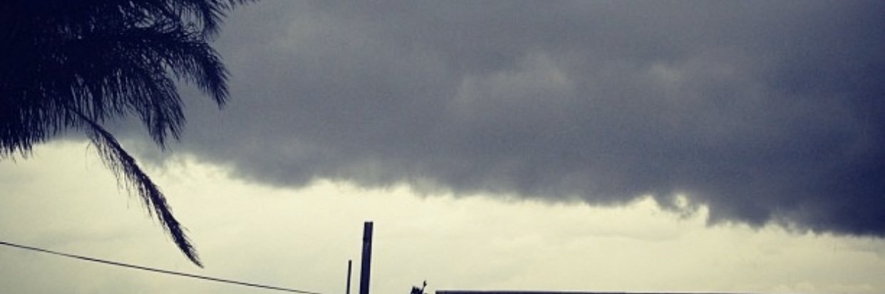 Ε banner