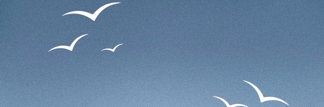 elmermorga's profile banner image