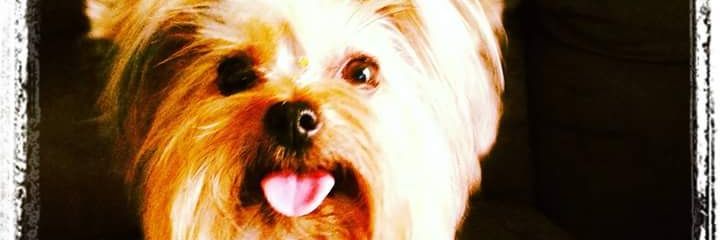 Eduoldra's profile banner image