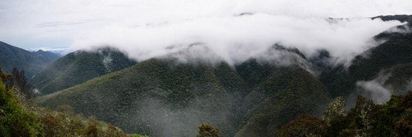 ashenkin Profile Banner