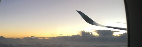 SManuelaCM's profile banner image