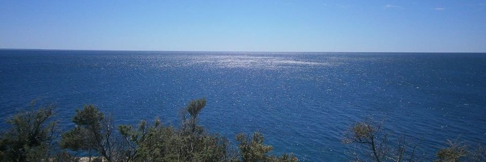 Alejandra 🇱🇻 banner