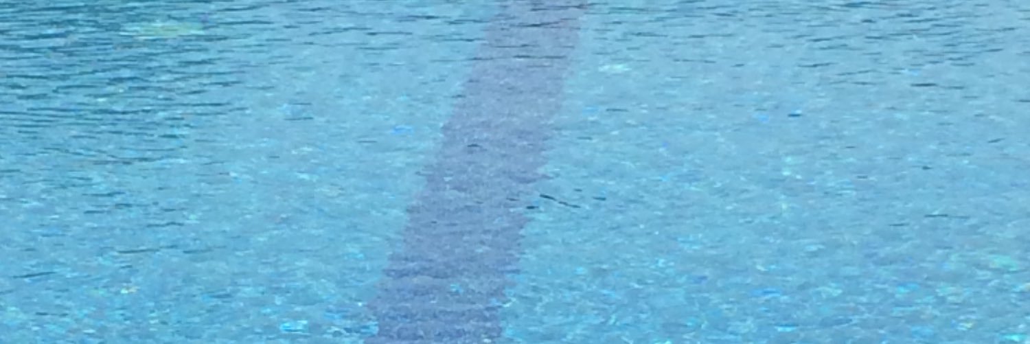 Denis MARECHALLE banner