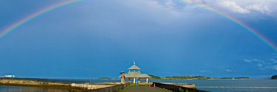 Eileen Murphy banner