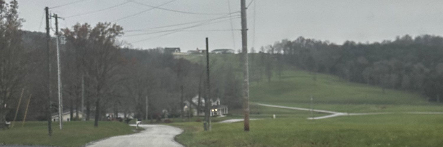 Alex Hammer banner