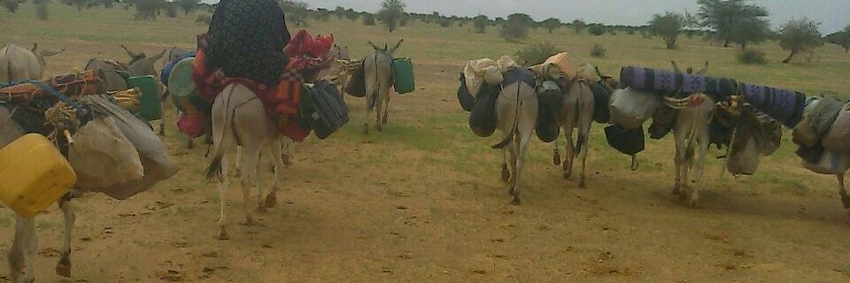 Azawad11's profile banner image
