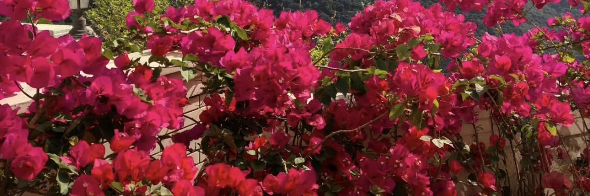 风的季节 banner
