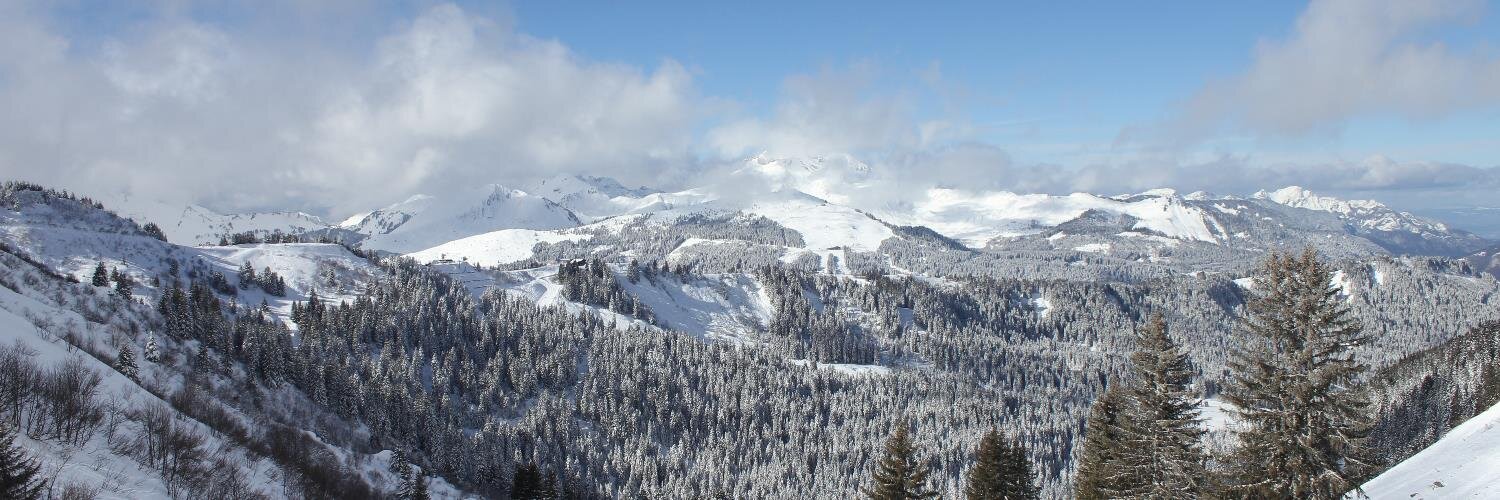 Kari Kakkonen banner