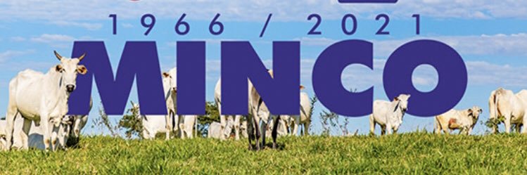 NOTIMINCO's profile banner image