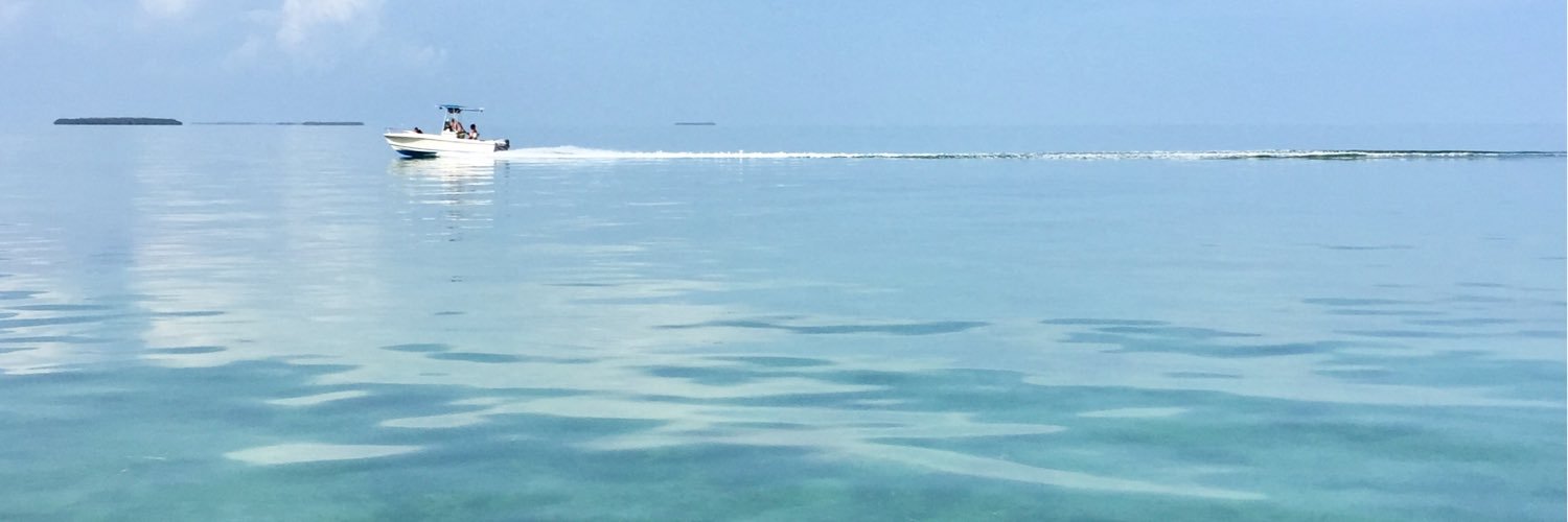 yoyiARNP's profile banner image