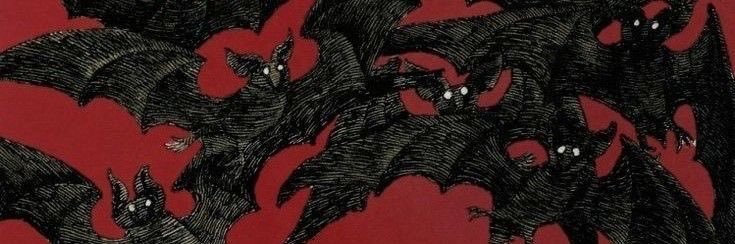 strw4koo's profile banner image