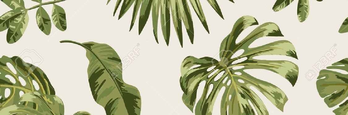 CassProcyshyn's profile banner image