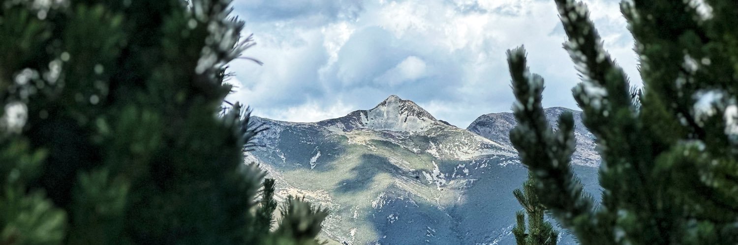 DBanderaB's profile banner image