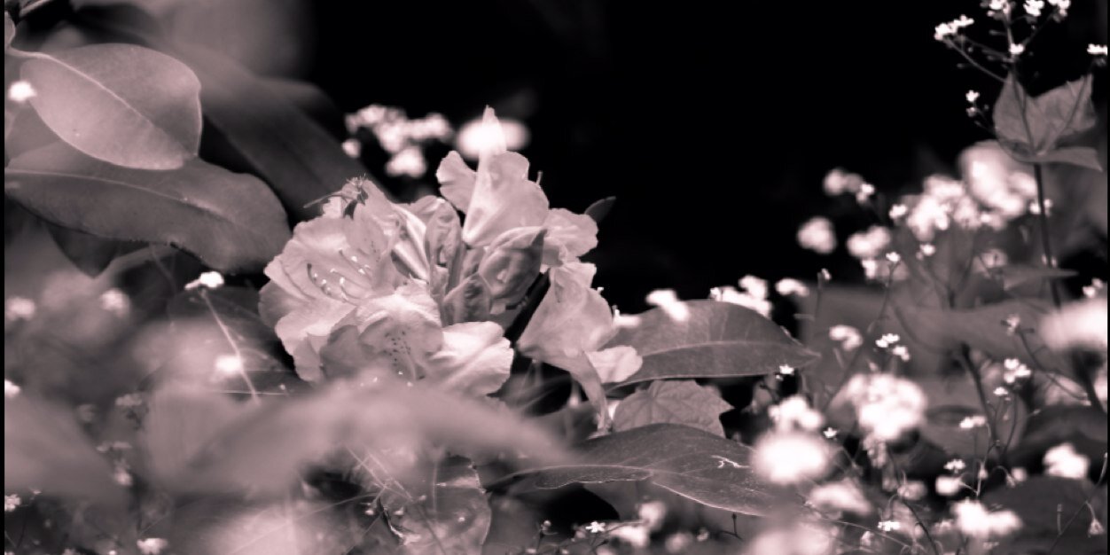 TheYoungChurch's profile banner image