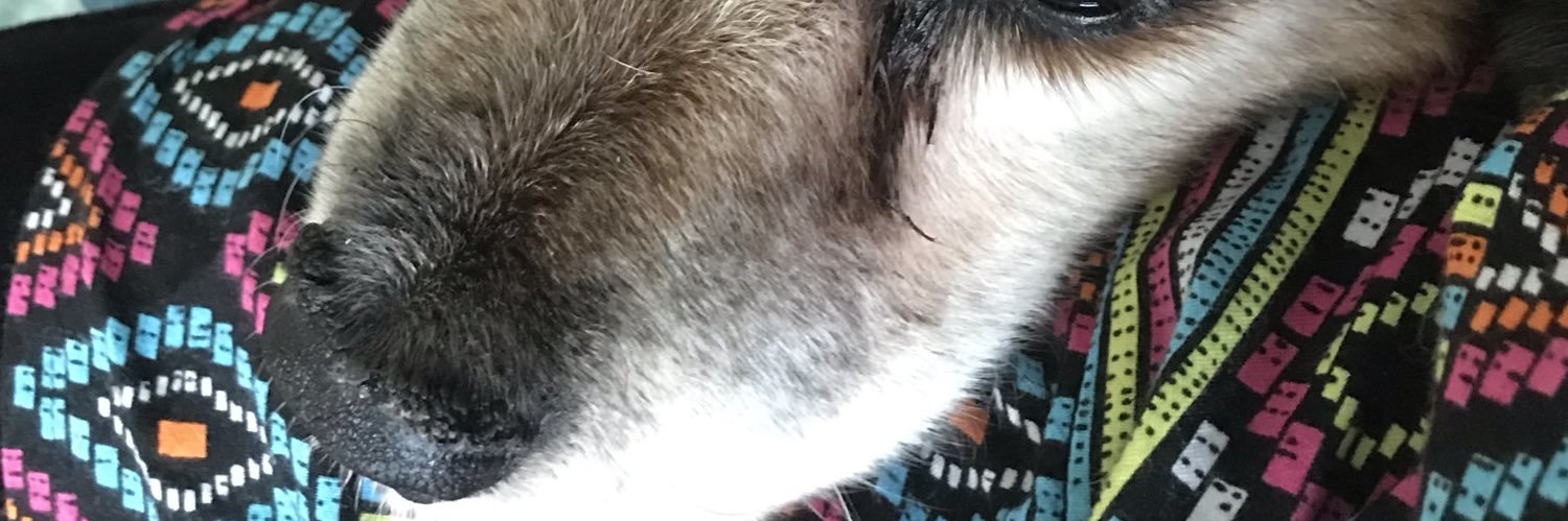 BridgetTetrus's profile banner image