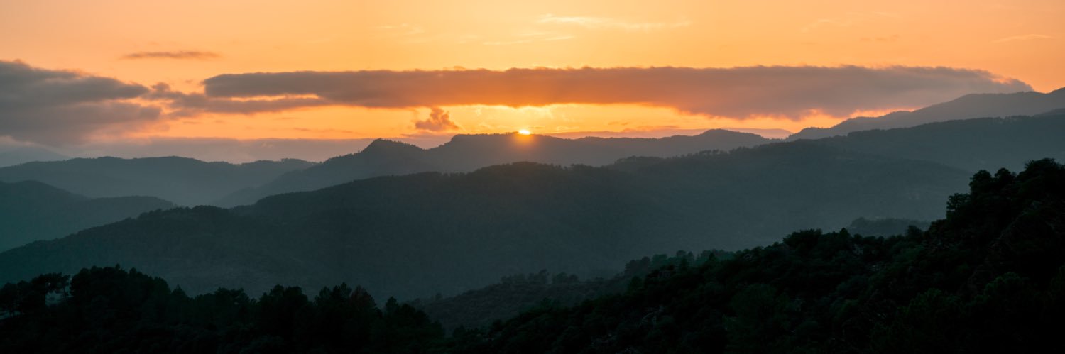 waldvotn's profile banner image