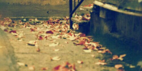 KAdrawh's profile banner image