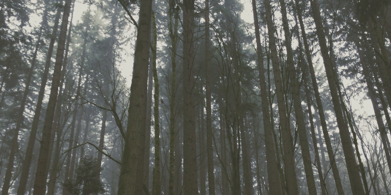 SavannahKinzer's profile banner image