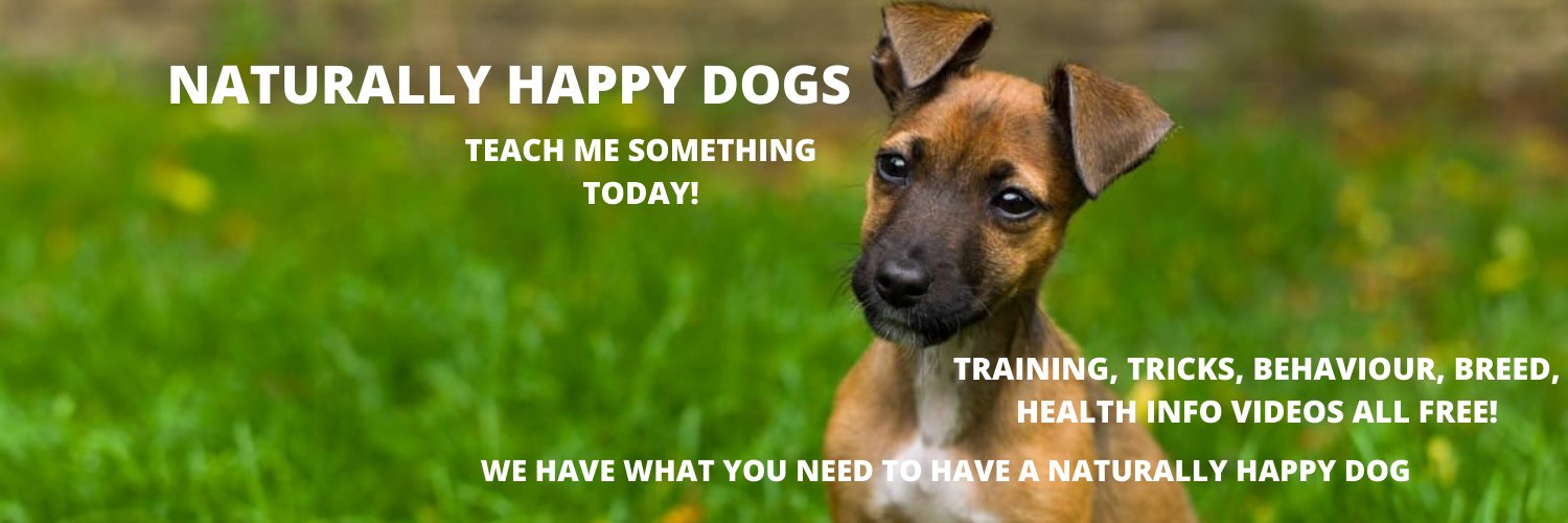 HappyDogs's profile banner image