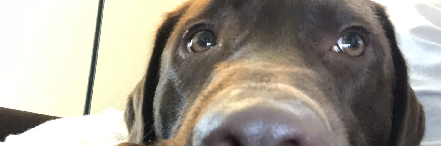 eidschunemilyy's profile banner image