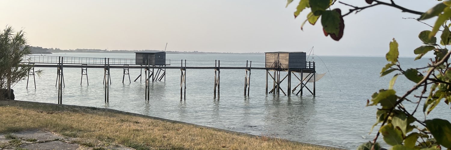 Doms Portraits banner