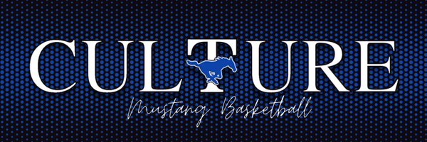 LadyMustangBB Profile Banner