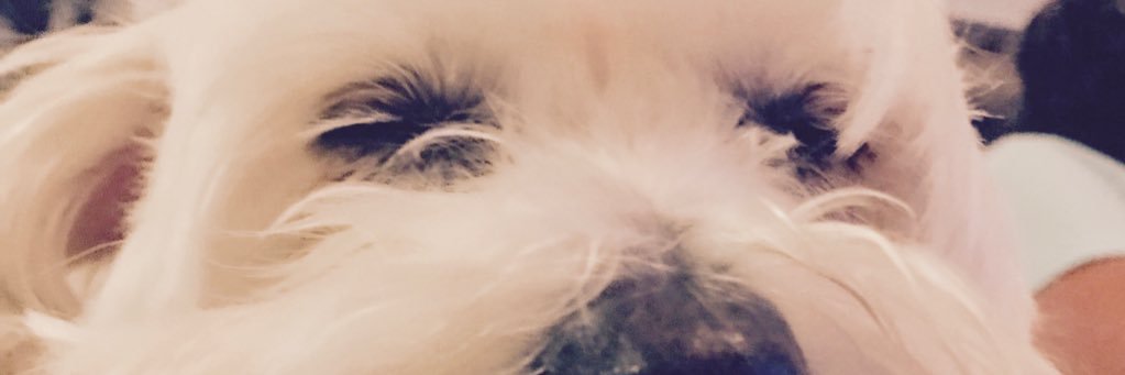RolandaIsabelle's profile banner image