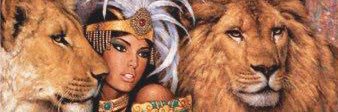 zèb banner