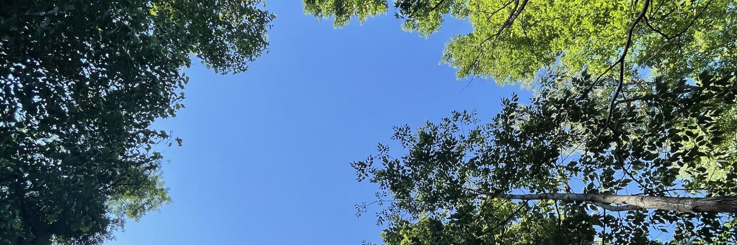 taranwells_'s profile banner image