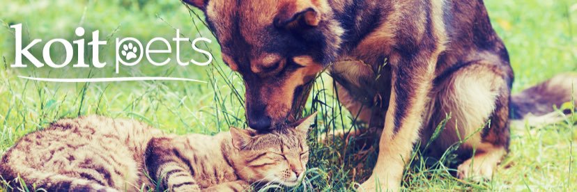 KOITpets's profile banner image