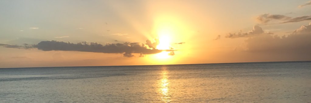 baloomarving's profile banner image