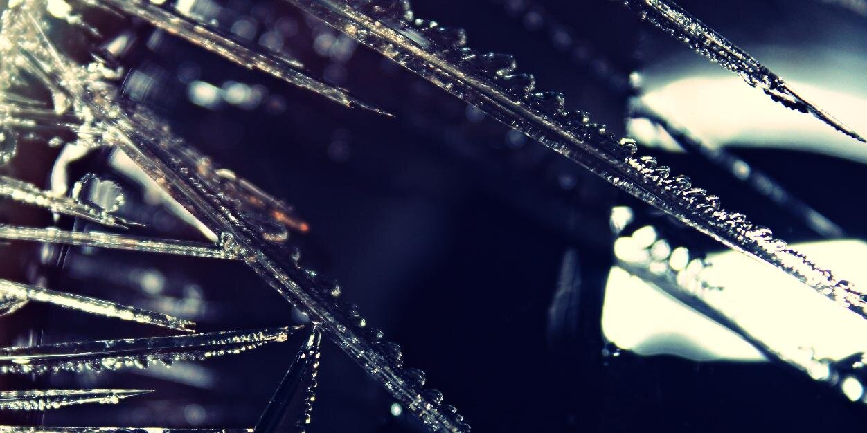 Kat_Mank's profile banner image