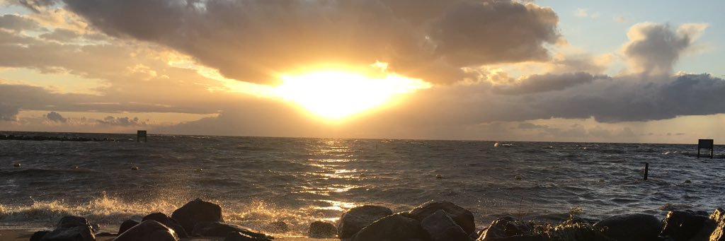 Jacolien81's profile banner image