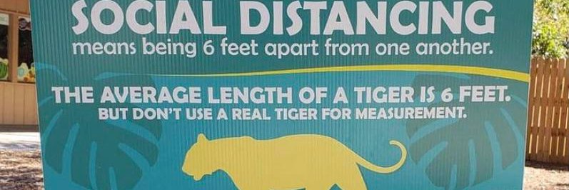 RebelKatTiger's profile banner image