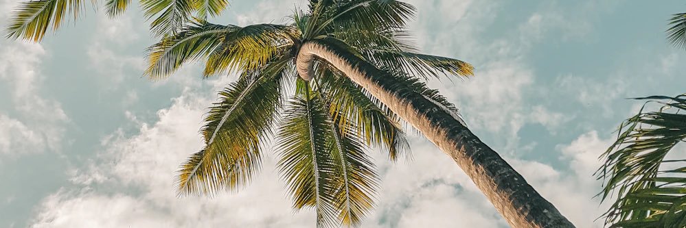 breeyxo's profile banner image