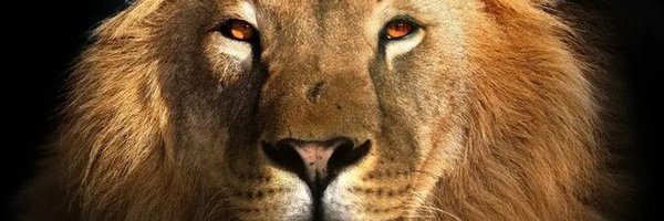 TayeSuave Profile Banner