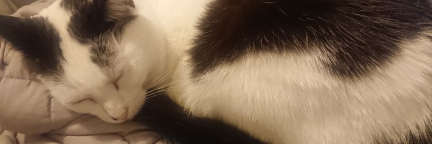 Hope_Hubris's profile banner image