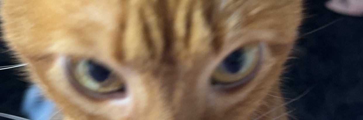 j4zzyfizzle's profile banner image