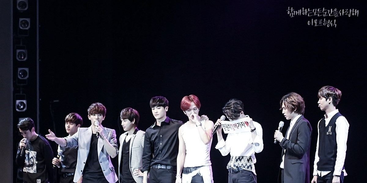 애완남형식 banner