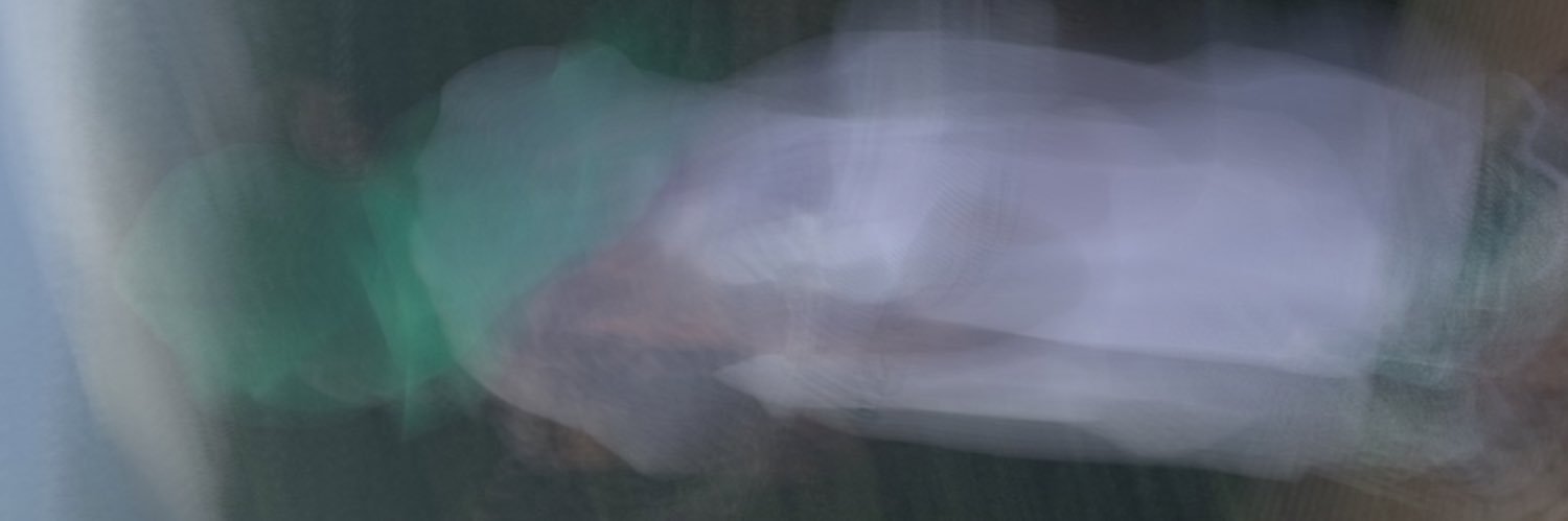 StevensonJereye's profile banner image