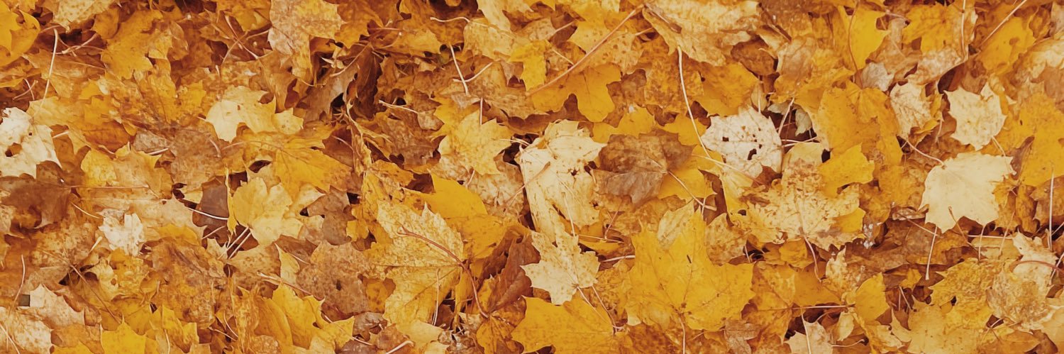 ashleighvpowell's profile banner image